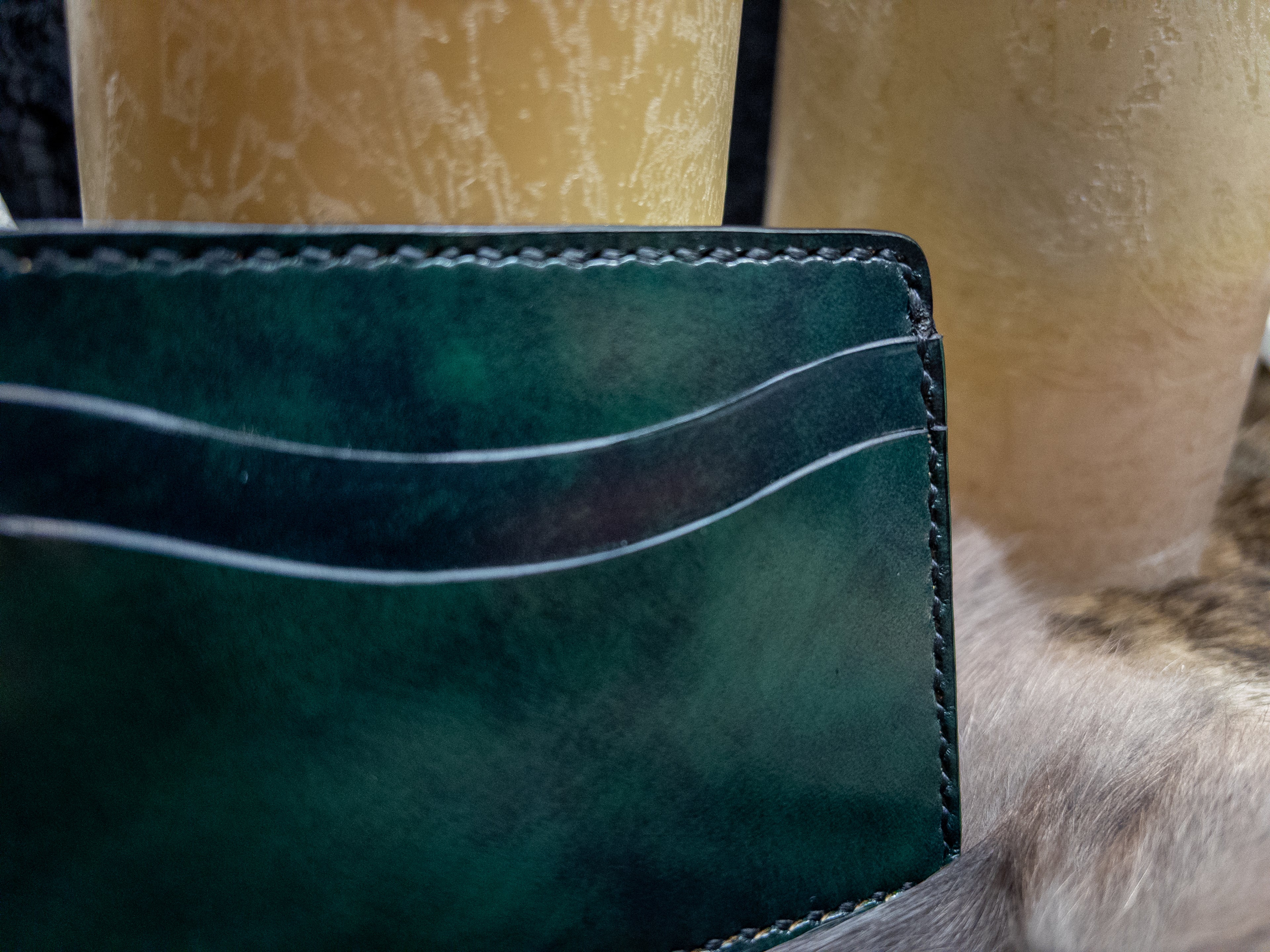 Haunted Forest Green Card Wallet